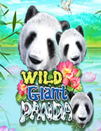 เกมสล็อต ค่าย pg 888 ที่คุณไม่ควรพลาด